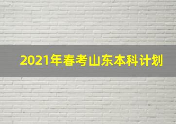 2021年春考山东本科计划