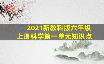 2021新教科版六年级上册科学第一单元知识点