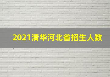 2021清华河北省招生人数