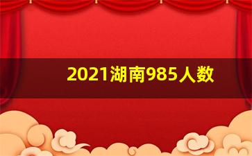 2021湖南985人数