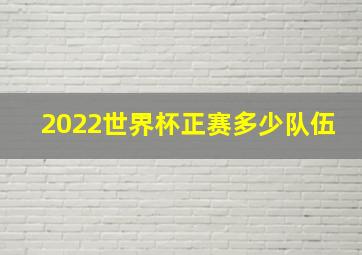 2022世界杯正赛多少队伍