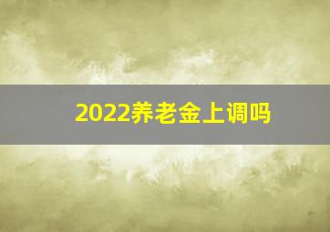 2022养老金上调吗