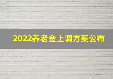 2022养老金上调方案公布