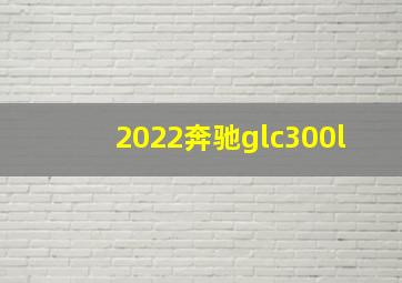 2022奔驰glc300l