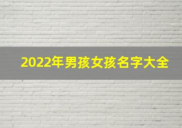 2022年男孩女孩名字大全