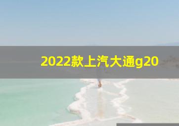 2022款上汽大通g20