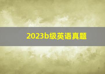 2023b级英语真题