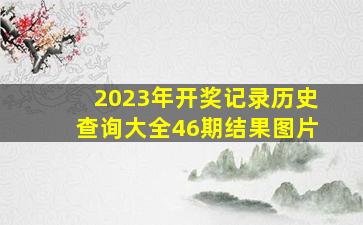 2023年开奖记录历史查询大全46期结果图片