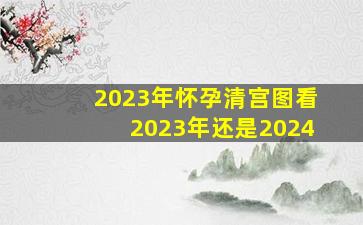 2023年怀孕清宫图看2023年还是2024