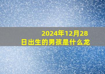 2024年12月28日出生的男孩是什么龙