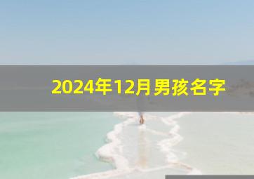 2024年12月男孩名字