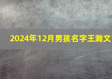 2024年12月男孩名字王瀚文