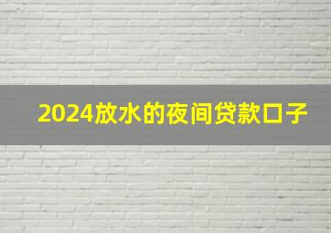 2024放水的夜间贷款口子