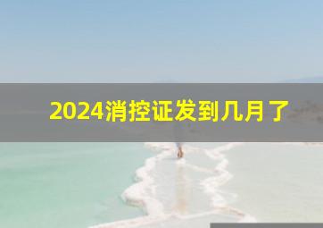 2024消控证发到几月了