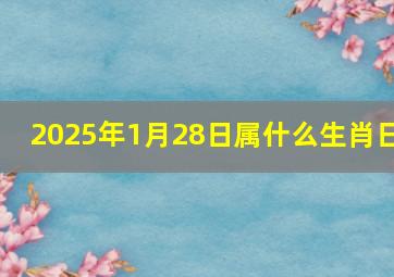 2025年1月28日属什么生肖日