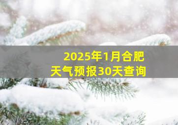 2025年1月合肥天气预报30天查询