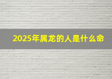 2025年属龙的人是什么命