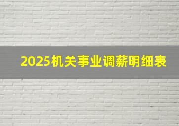 2025机关事业调薪明细表