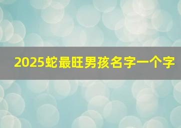 2025蛇最旺男孩名字一个字