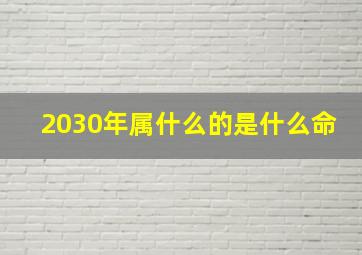 2030年属什么的是什么命