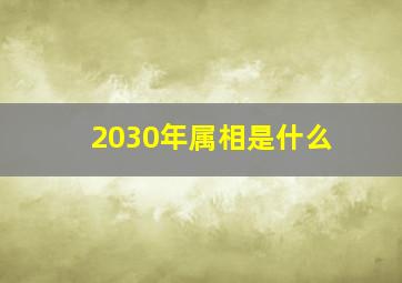 2030年属相是什么