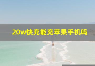 20w快充能充苹果手机吗