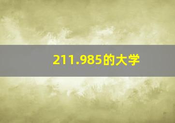 211.985的大学