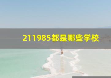 211985都是哪些学校