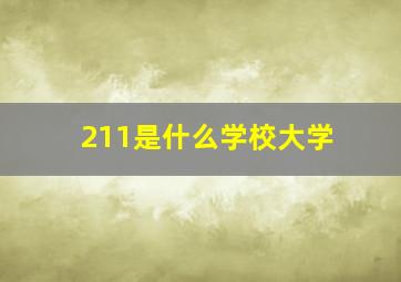 211是什么学校大学