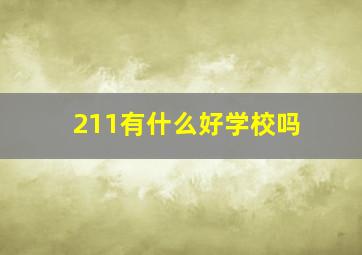 211有什么好学校吗