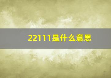 22111是什么意思