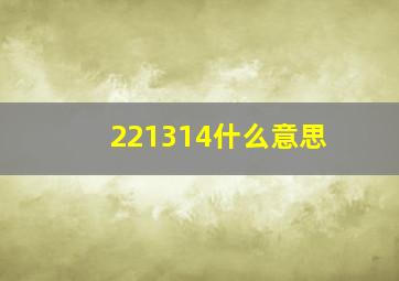 221314什么意思