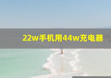 22w手机用44w充电器