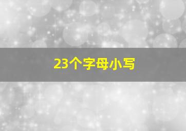 23个字母小写