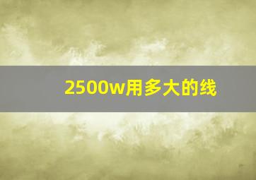 2500w用多大的线