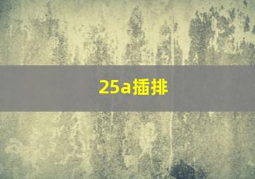 25a插排