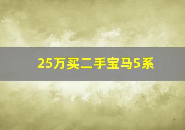 25万买二手宝马5系