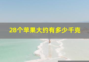 28个苹果大约有多少千克