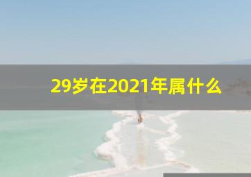 29岁在2021年属什么