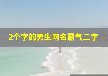 2个字的男生网名霸气二字