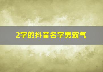 2字的抖音名字男霸气