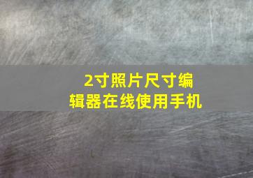 2寸照片尺寸编辑器在线使用手机