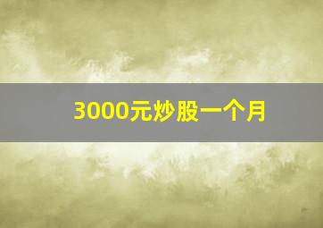 3000元炒股一个月