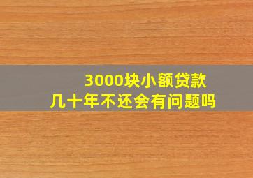 3000块小额贷款几十年不还会有问题吗