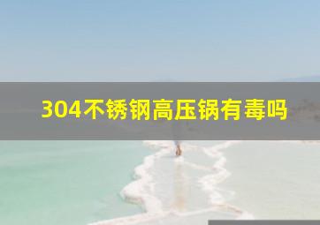 304不锈钢高压锅有毒吗