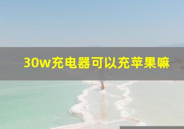 30w充电器可以充苹果嘛