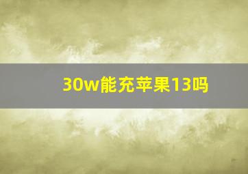 30w能充苹果13吗