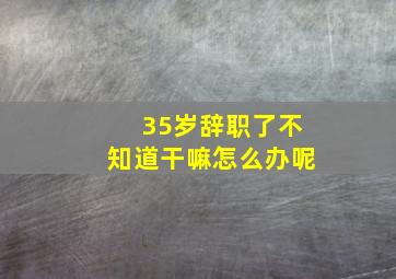 35岁辞职了不知道干嘛怎么办呢