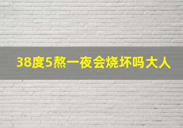 38度5熬一夜会烧坏吗大人