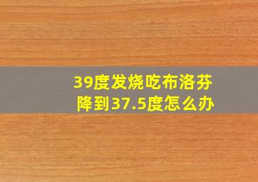 39度发烧吃布洛芬降到37.5度怎么办